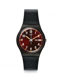 SWATCH SO28B 704