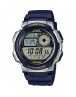 CASIO AE-1000W-2AVDF