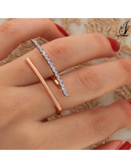 BAGUE 111910