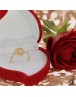 BAGUE 112623