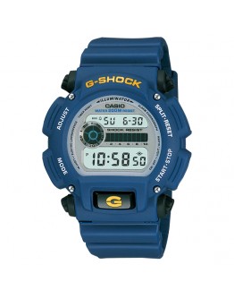CASIO DW-9052-2VDR