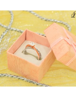 BAGUE 120126