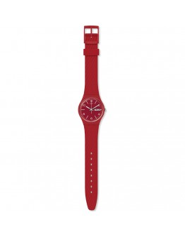 SWATCH GR710