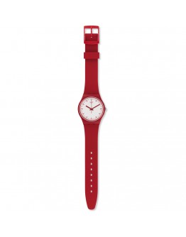 SWATCH GR172