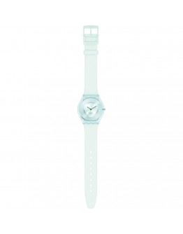 SWATCH SS08G100