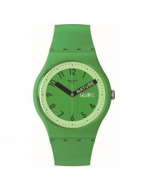 SWATCH SO29G 704