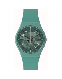 SWATCH SO28G 108