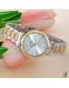 PREMIUM RD 2676/BICG