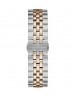 GC Z46001G2MF