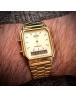 CASIO AQ-230GA-9DMQ