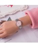 CASIO LTP-1303D-4AVDF