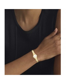 CALVIN KLEIN CK25100193