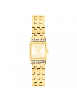 CALVIN KLEIN CK25100162