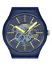 SWATCH SO29I100