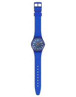 SWATCH SO28S 704