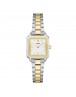 CLUSE CW15501