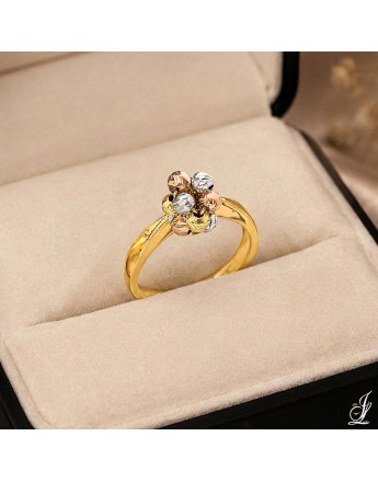 BAGUE 209014