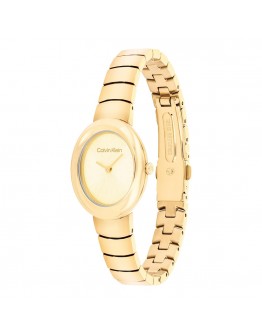 CALVIN KLEIN CK25100147