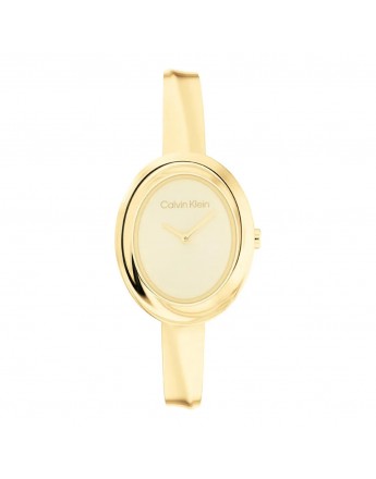 CALVIN KLEIN CK25100056