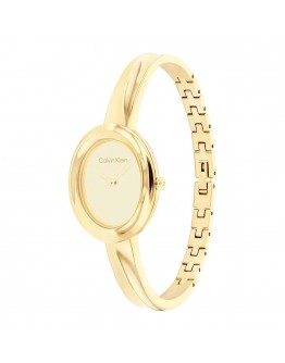 CALVIN KLEIN CK25100056