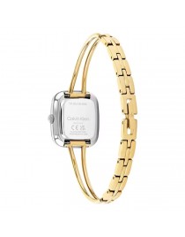 CALVIN KLEIN CK25100134