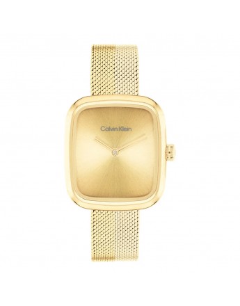 CALVIN KLEIN CK25100099