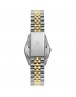 POLO BP3654X.220