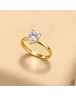 BAGUE 211714