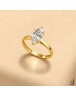 BAGUE 211716